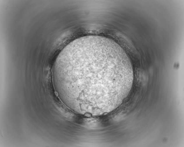 X0000093560511200710291022