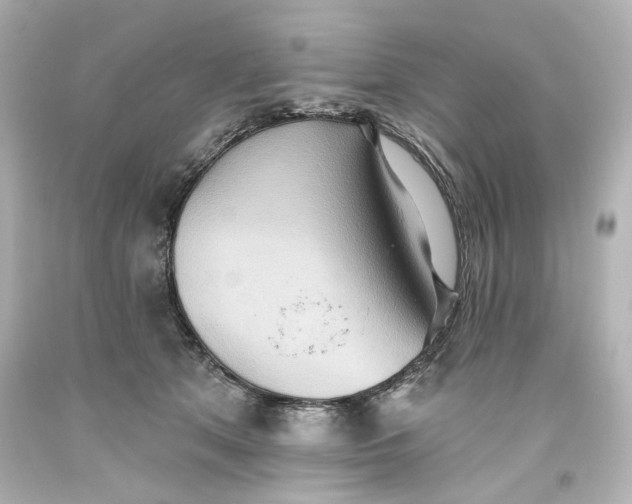 X0000093560513200710291022