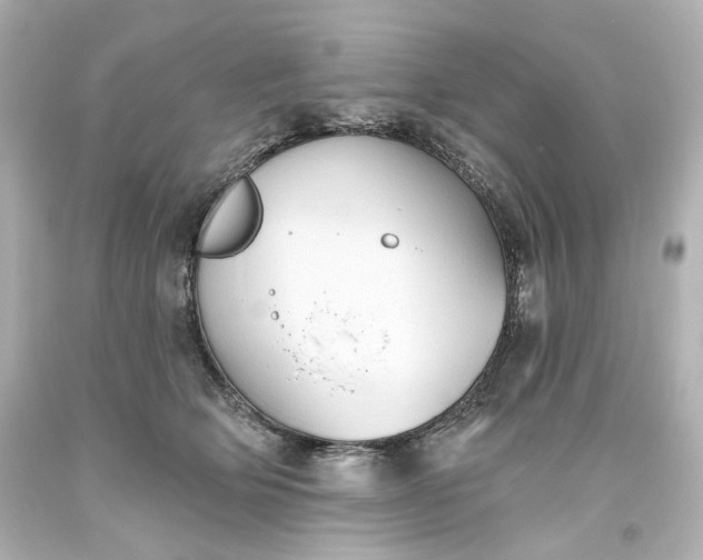 X0000093560514200710291022