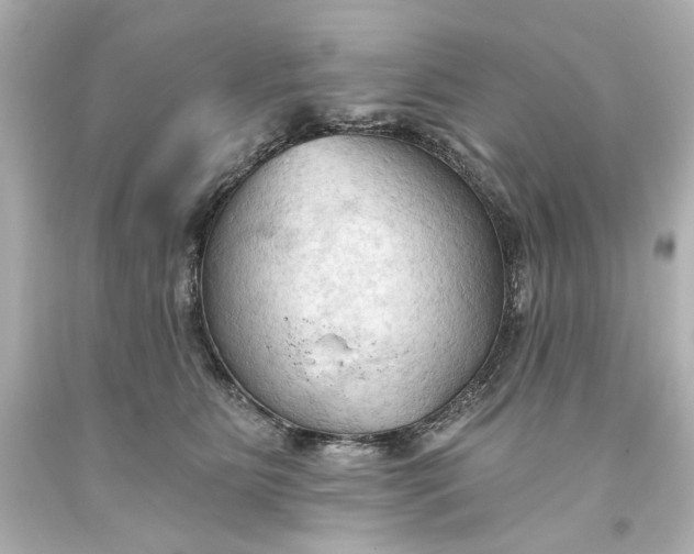 X0000093560515200710291022