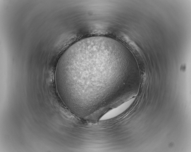 X0000093560517200710291022