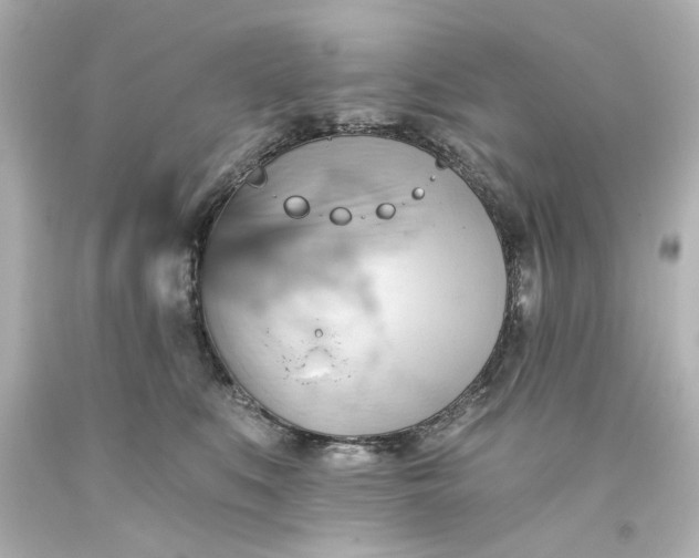 X0000093560519200710291021