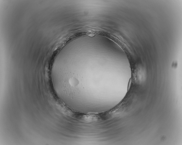 X0000093560520200710291021