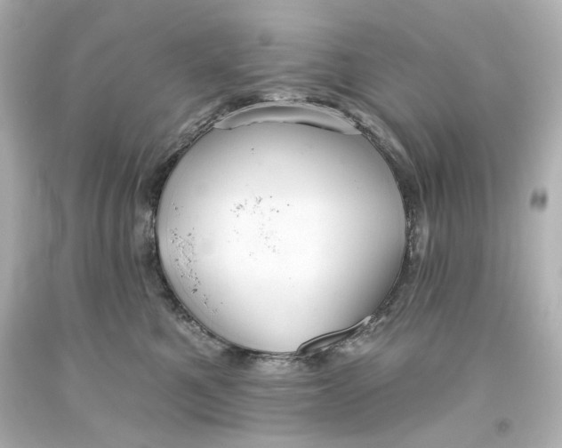 X0000093560521200710291021