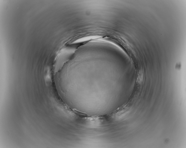 X0000093560524200710291021