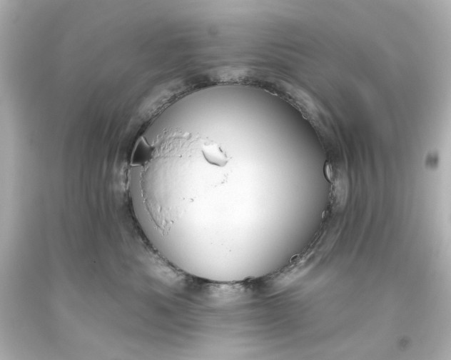 X0000093560525200710291021