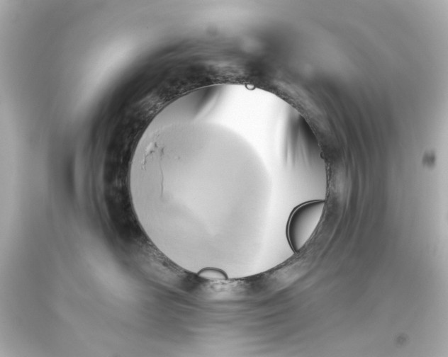 X0000093560526200710291021