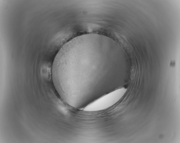 X0000093560527200710291021