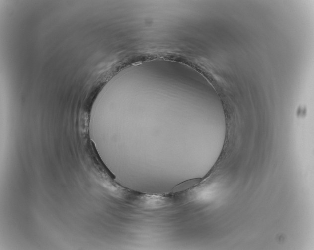 X0000093560528200710291021