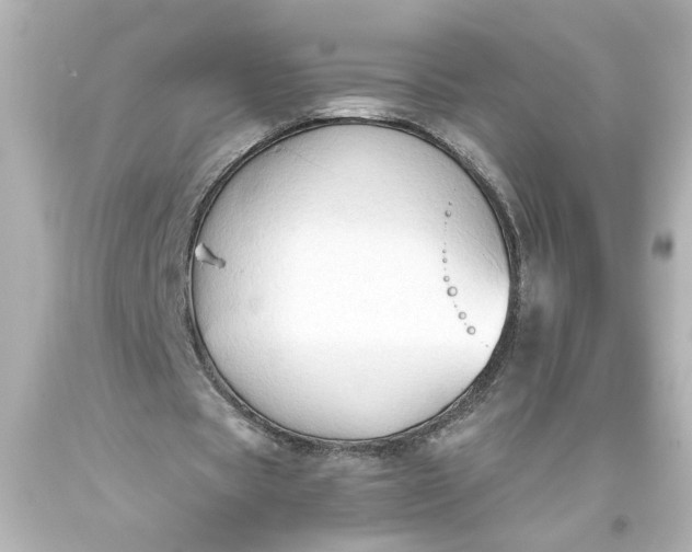 X0000093560529200710291021