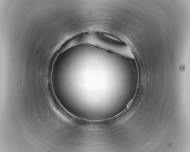 X0000093560530200710291021