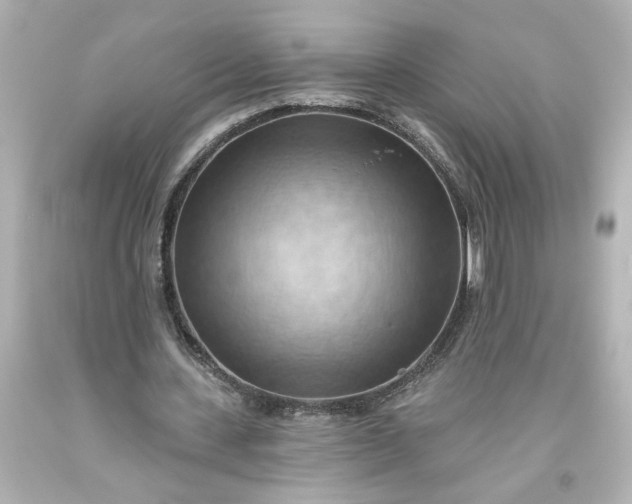 X0000093560531200710291021