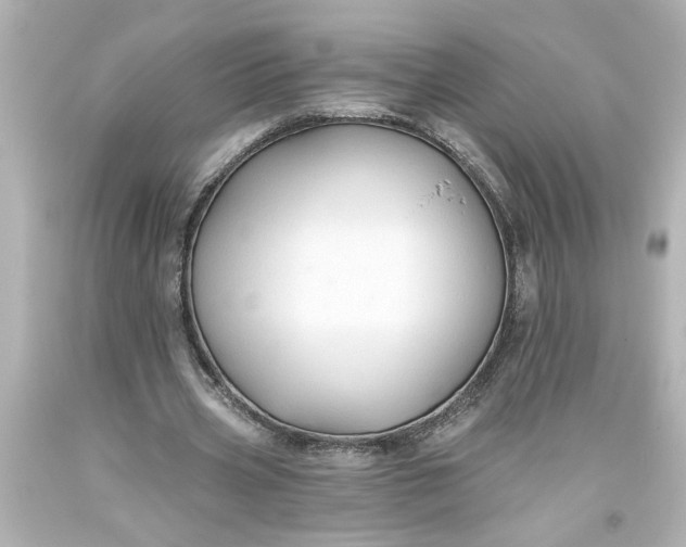 X0000093560533200710291021