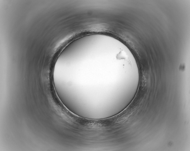 X0000093560535200710291021