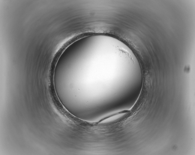 X0000093560536200710291021