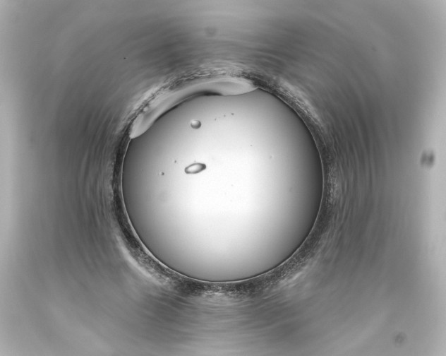 X0000093560538200710291021