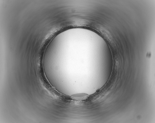 X0000093560539200710291021