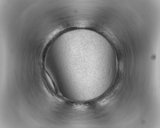 X0000093560540200710291021