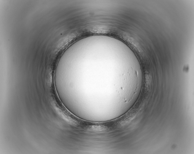 X0000093560541200710291021