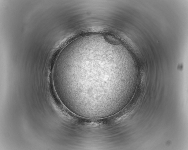 X0000093560542200710291021