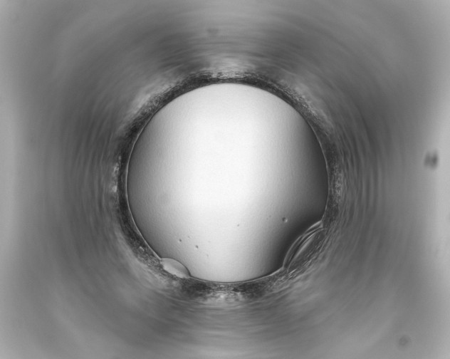 X0000093560543200710291021