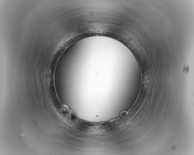 X0000093560544200710291021