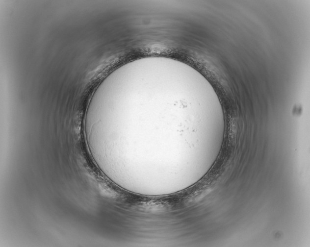 X0000093560545200710291021