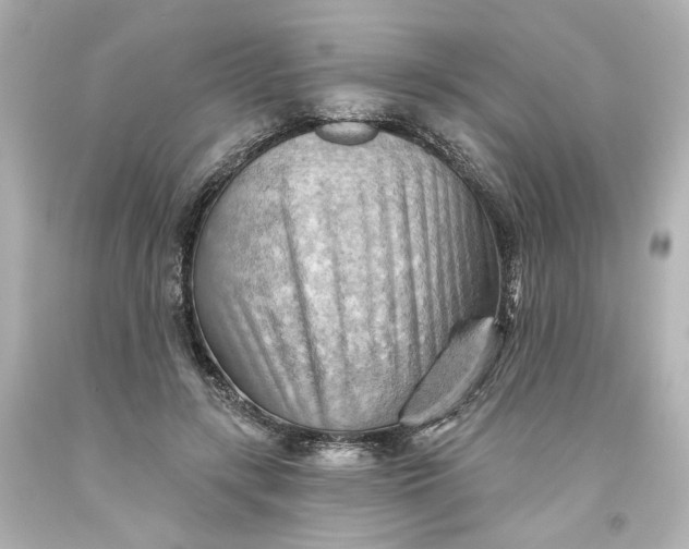 X0000093560547200710291021