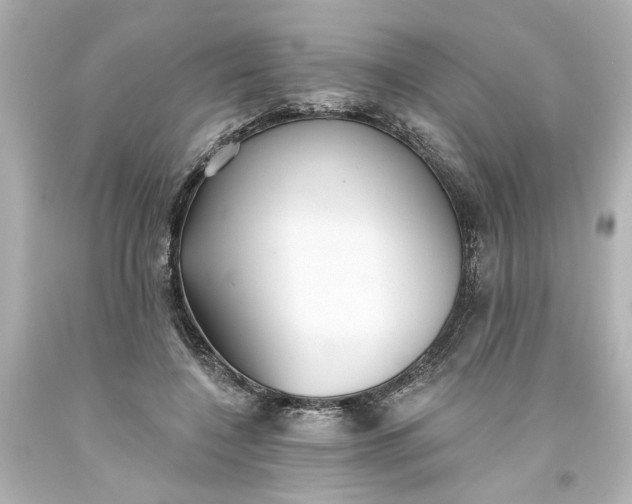 X0000093560548200710291021