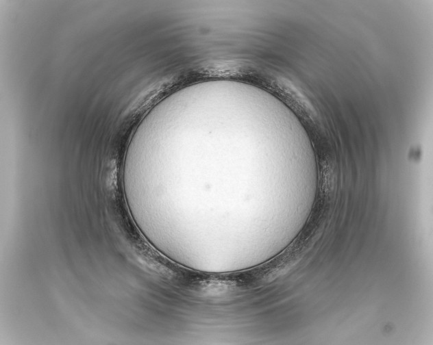 X0000093560549200710291021