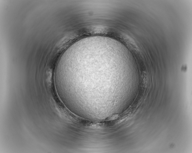 X0000093560550200710291021