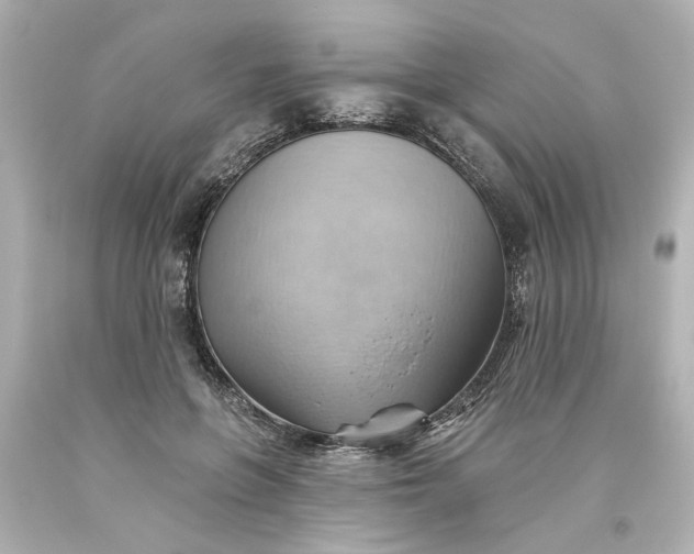 X0000093560551200710291021