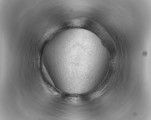 X0000093560552200710291021