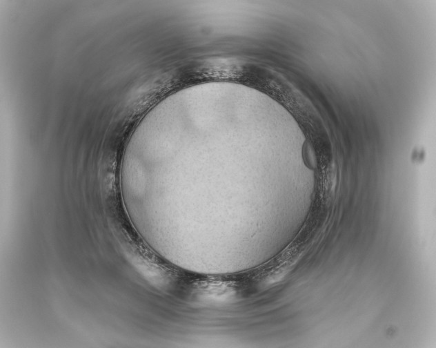 X0000093560553200710291021