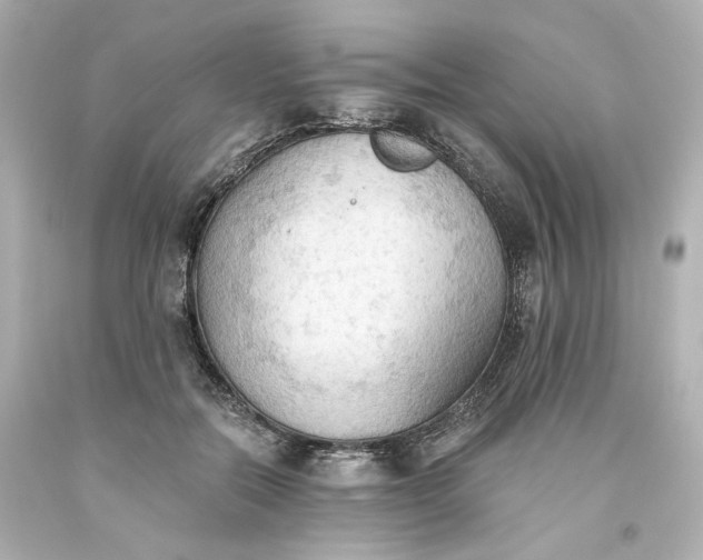 X0000093560554200710291021