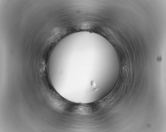 X0000093560555200710291021