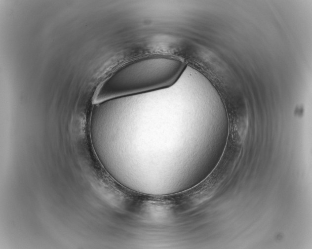 X0000093560556200710291021