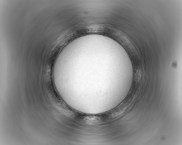 X0000093560557200710291021