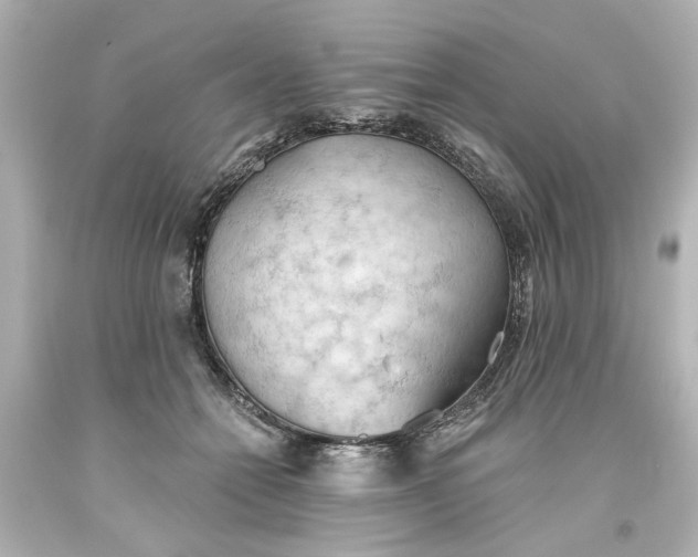 X0000093560558200710291021