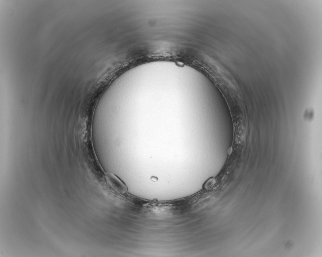 X0000093560560200710291021