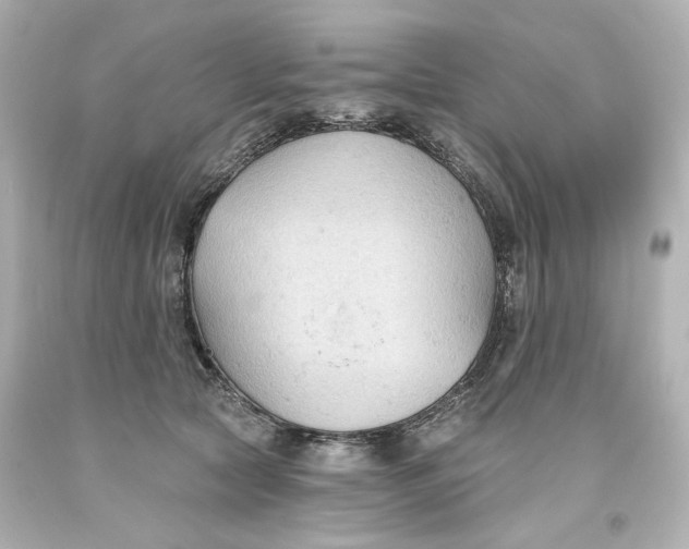 X0000093560561200710291021