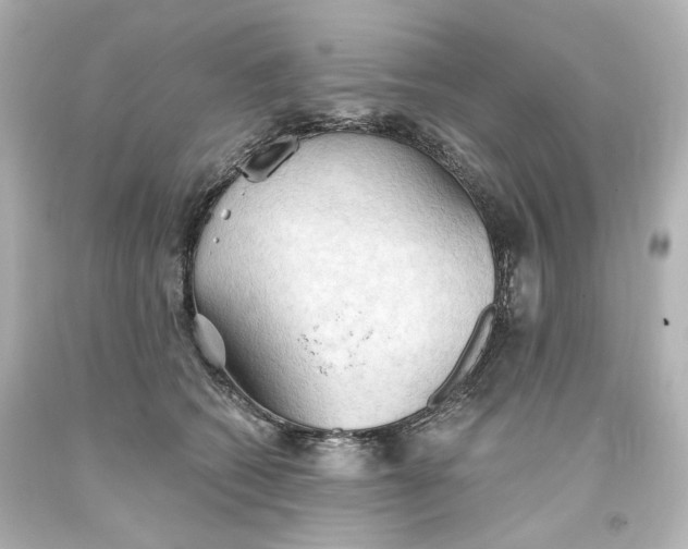 X0000093560562200710291021