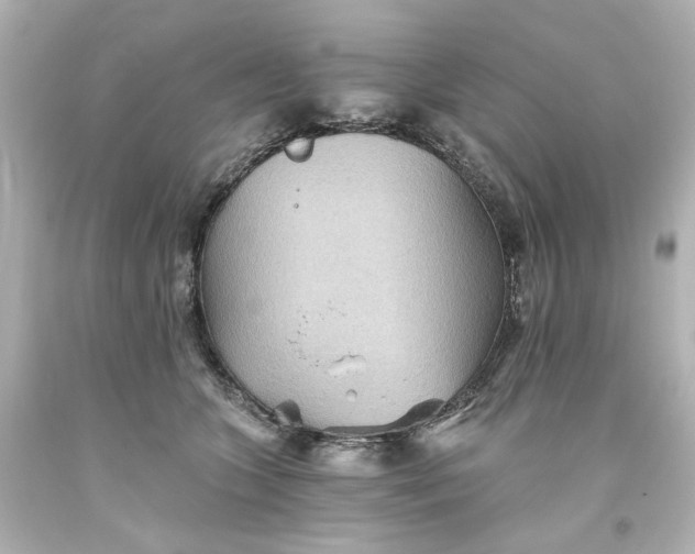 X0000093560563200710291021