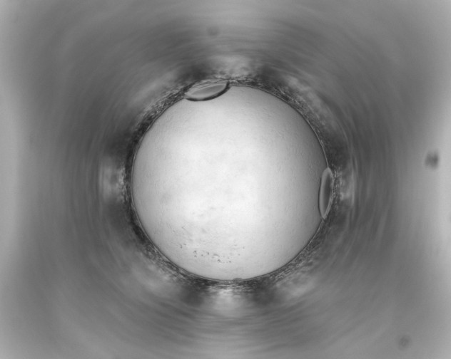 X0000093560564200710291021