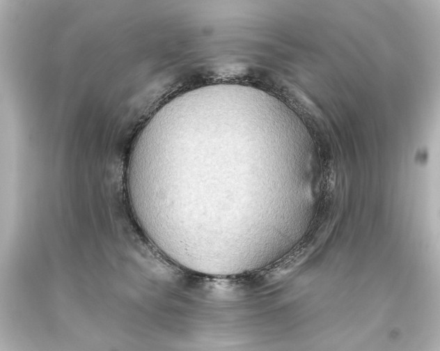 X0000093560565200710291021