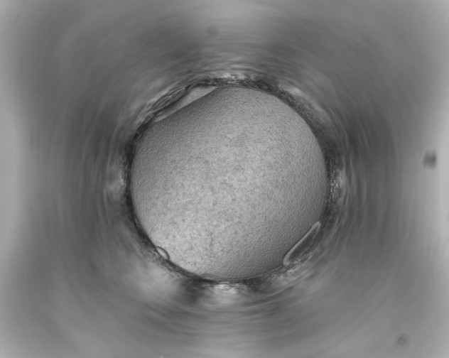 X0000093560566200710291021