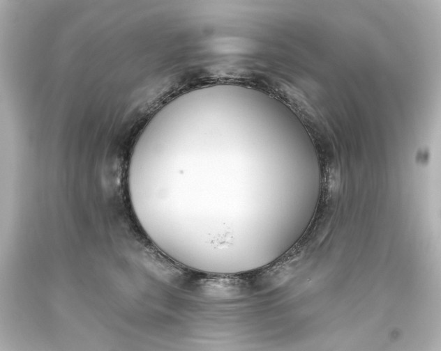 X0000093560567200710291021