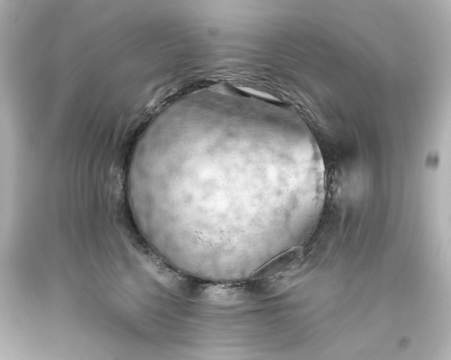 X0000093560568200710291021