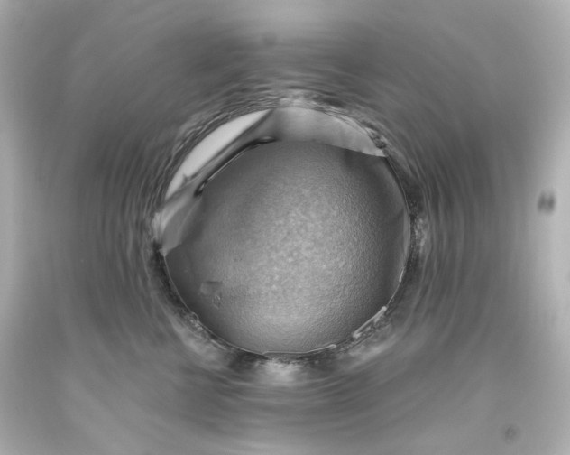 X0000093560570200710291021