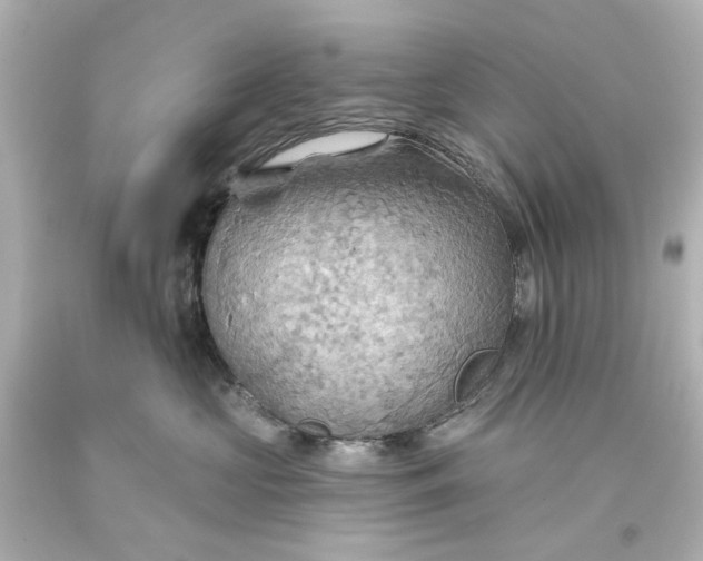 X0000093560573200710291021